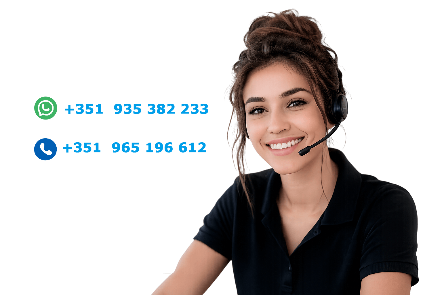Translowcost_contactos